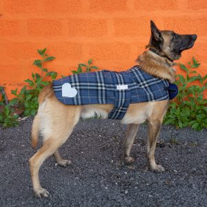 Pet - Daccapo