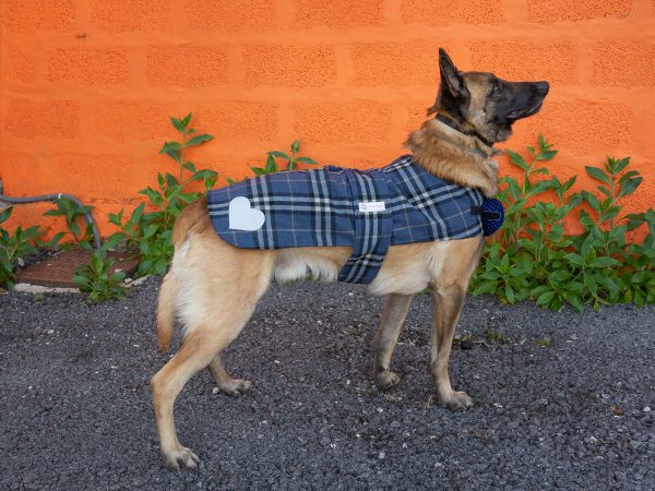 Pet - Daccapo